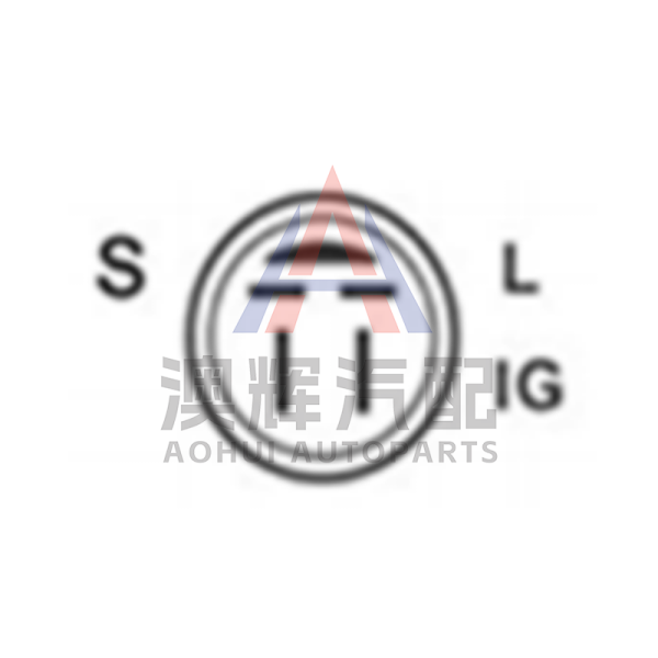 3701100 GREAT WALL MOTORS Car Alternator Assembly 3701100-E06-A2 12V 110A 5S CW ...
